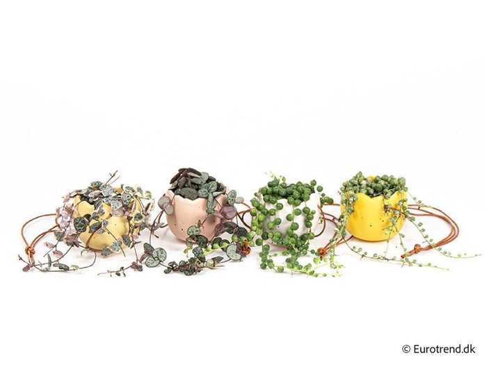 <h4>E 4115 påske ampler/dyrt mix</h4>