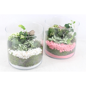arr2 PL - Glas cilin. breed 285/5 - roze/wit