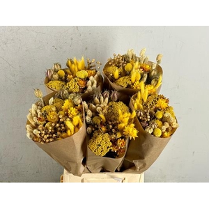 Df Bouquet 50cm Dutch Sunny