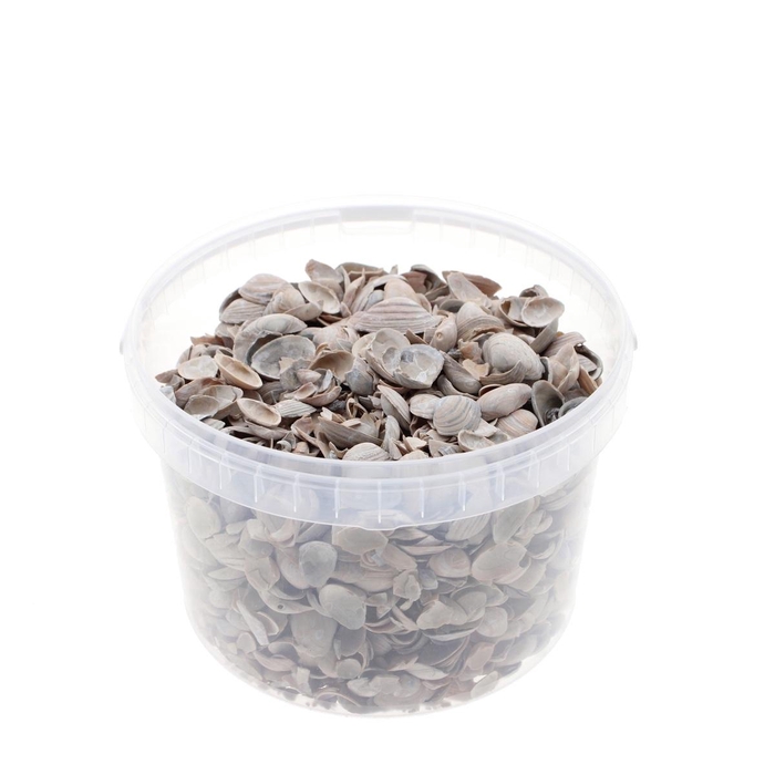 <h4>Schelpen North Sea emmer 3L</h4>