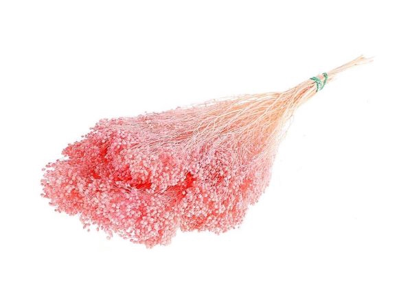 Bunch Broom Slv 100g L45