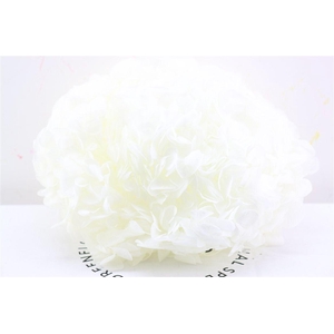 Pres Hydrangea Xl Ivory Pcs