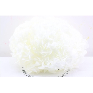 Pres Hydrangea Xl Ivory Pcs