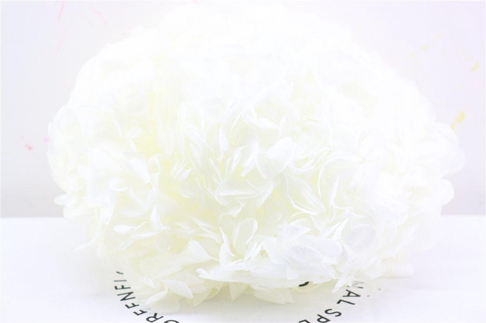 <h4>Pres Hydrangea Xl Ivory Pcs</h4>