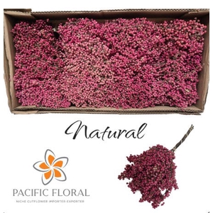 Pepperberry Natural