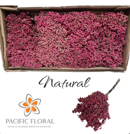 <h4>Pepperberry Natural</h4>