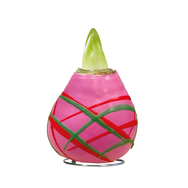 <h4>Amaryllis Touch of Wax Art Pink 6x1, rode bloem, Tray236</h4>