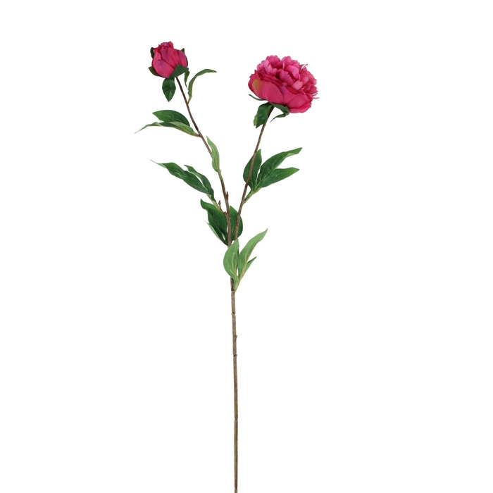 <h4>Paeonia 87cm</h4>