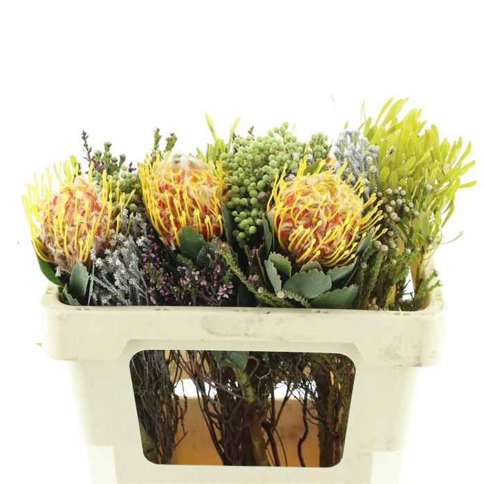 Kaaps Bouquet Lsp Veldfire