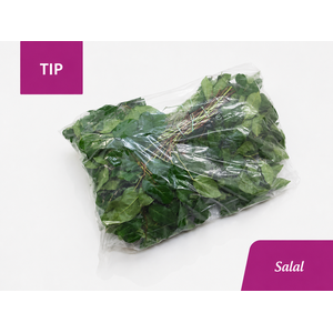 /SALAL TIP 5x BOS