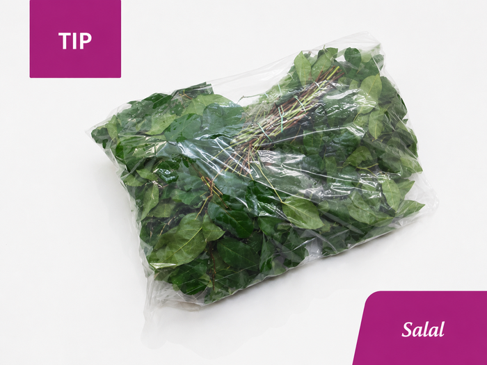 <h4>/SALAL TIP 5x BOS</h4>