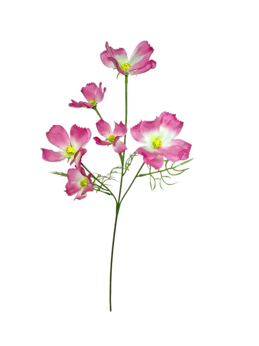 <h4>AF Cosmos spray L60cm pink</h4>