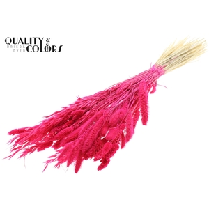 Dried Flower Mix bunch Bleached Cerise