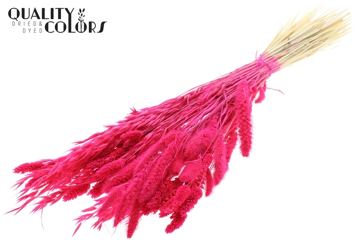 <h4>Dried Flower Mix bunch Bleached Cerise</h4>