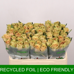 R GR CARAM MACCHIATO