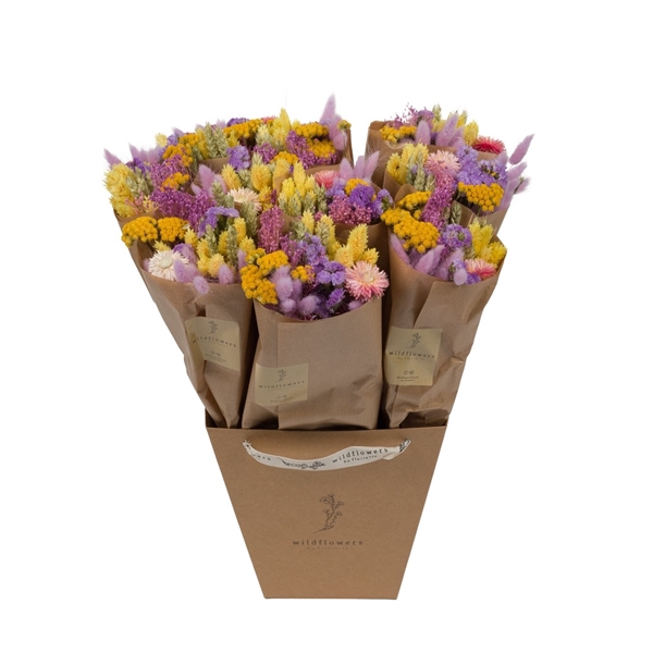Droogbloemen-Market More 50cm - Blossom Lilac