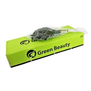 Aralia Vacuum Gr. Beauty