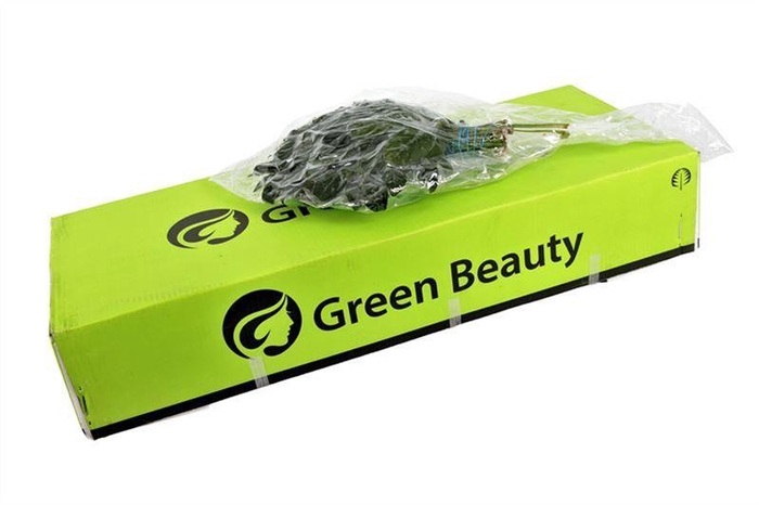 <h4>Aralia Vacuum Gr. Beauty</h4>