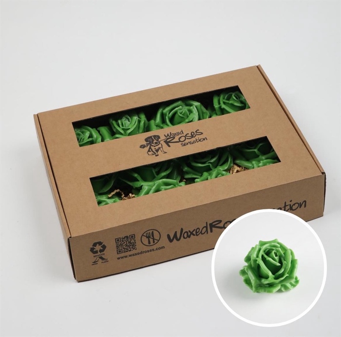 <h4>Zijde Wax-Rozen Wax Groen</h4>