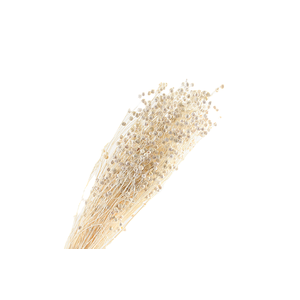 Lino Vlas White Bleached