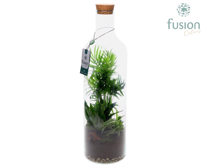 <h4>Green Bottle Fles Large met Arrangement</h4>