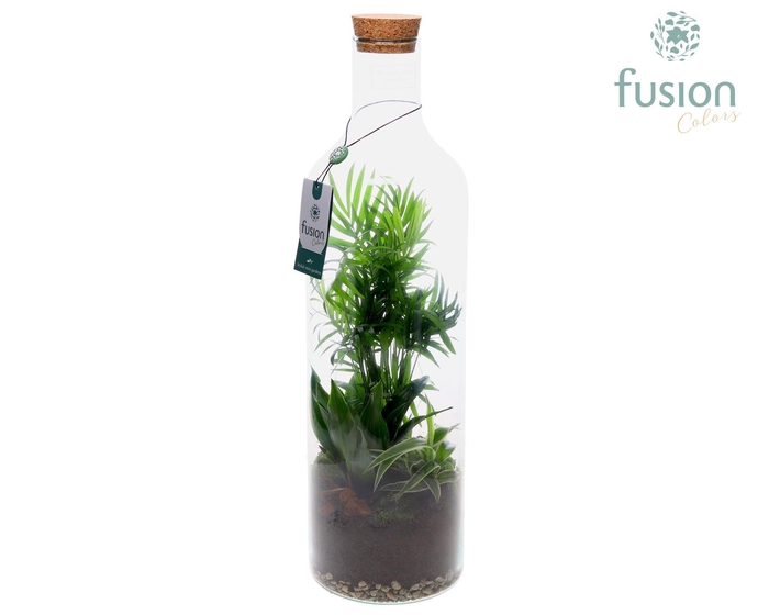 <h4>Green Bottle Fles Large met Arrangement</h4>