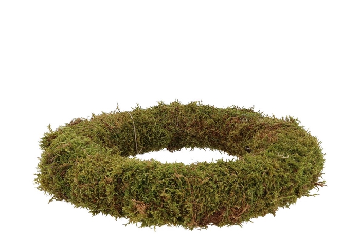 Nature Wreath Green Moss 40cm