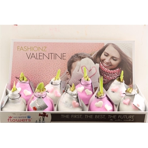 Wax Hipp Roze-wit Met Hartjes