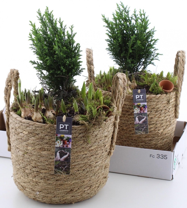 <h4>ARR PL IN SCHAAL</h4>