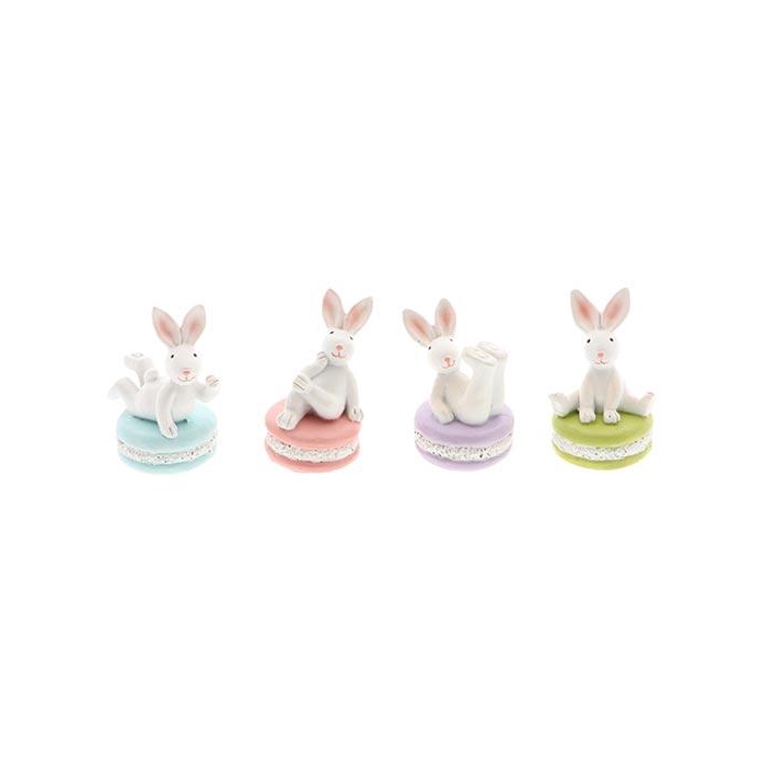 <h4>Bunny On Cookie 4Ass L4W5H8</h4>