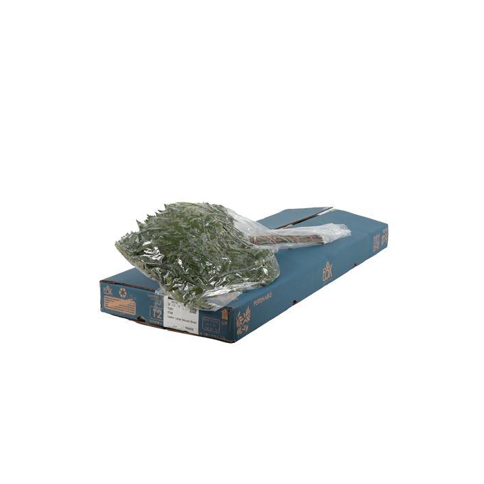 <h4>LEDERVAREN EXTRA VACUUM TAK X 12</h4>