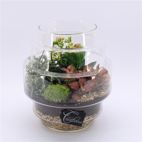 <h4>ESCR-2507RZ Essentials terrarium</h4>