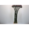Allium Summer Drummer