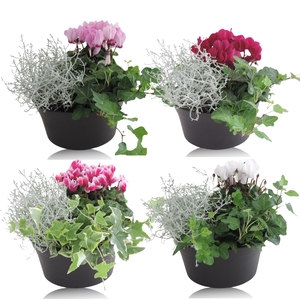 Opm RS-00021903 Patio Pot