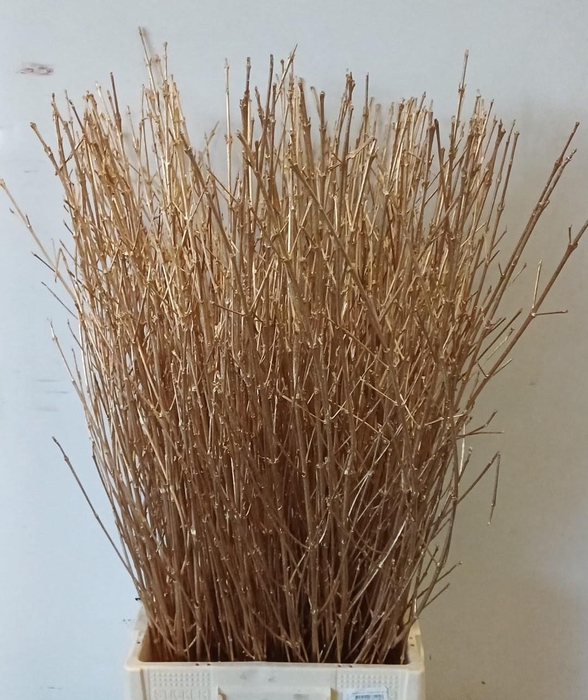 <h4>DECOGROEN OV KLB H%</h4>