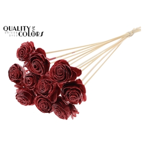 Shola Beauty Rose 6cm on stem Wax Burgundy