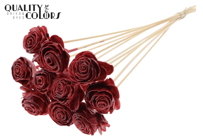 Shola Beauty Rose 6cm on stem Wax Burgundy