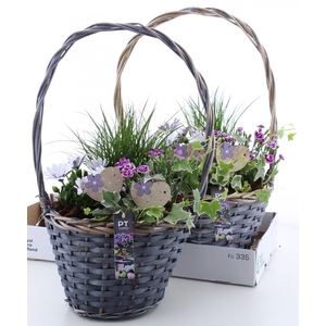 ARR TUINPLANTEN