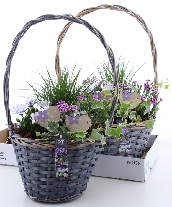 <h4>ARR TUINPLANTEN</h4>