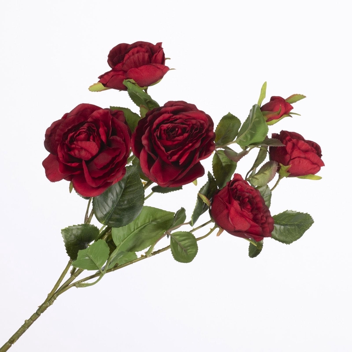 <h4>Rosa Spray Red FL440243RED</h4>