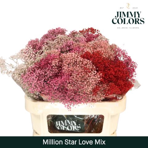 <h4>Gyps Million Star L70 Love Mix</h4>