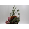 Protea Mix