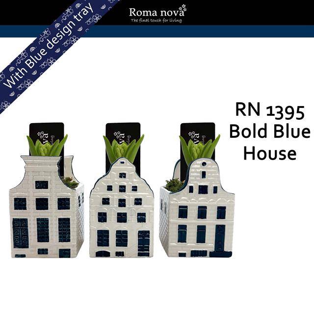 <h4>arr4 Hyacint RN - Bold blue house</h4>