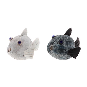 Fish Coconut 2Ass H24D36