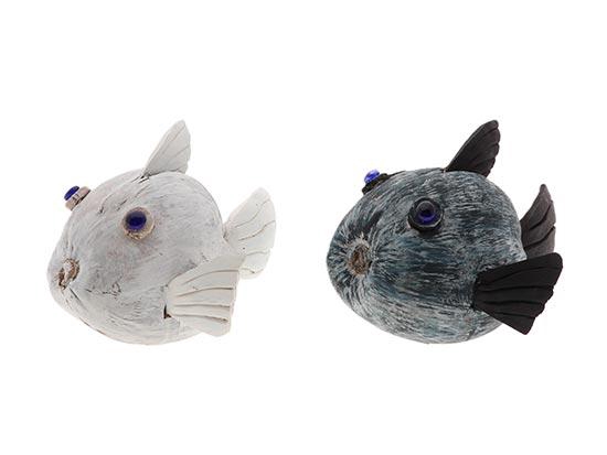 Fish Coconut 2Ass H24D36