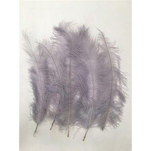 Feather Ostrich 5 Pcs L55