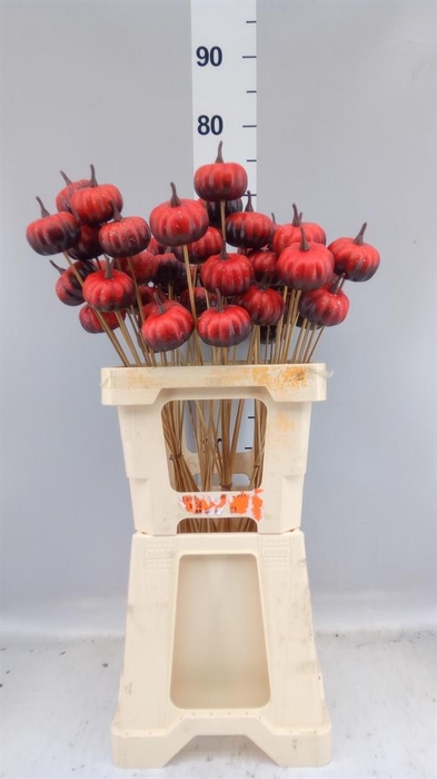 <h4>Decoratieve materialen   ...H%</h4>