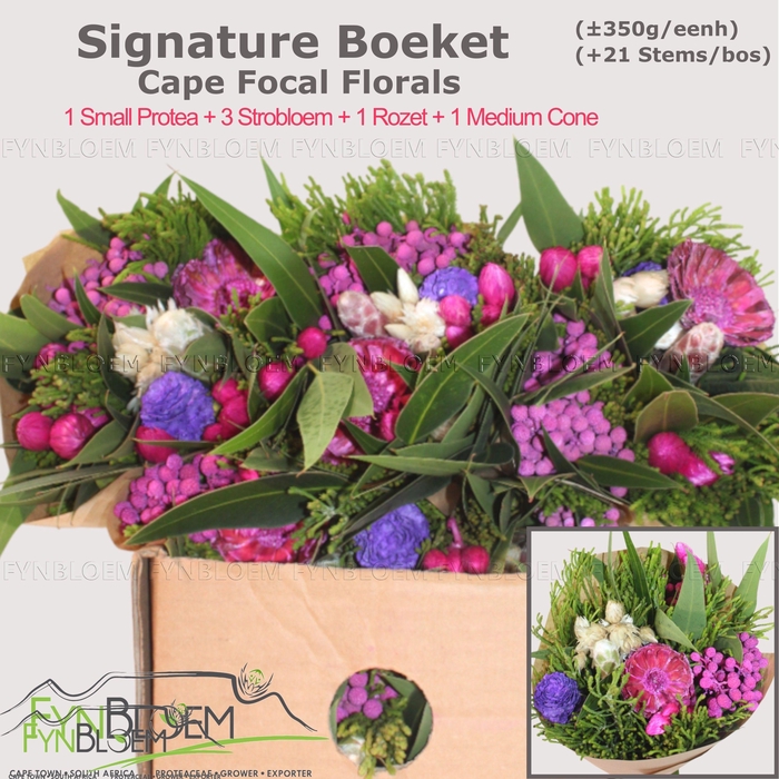 <h4>PROTEA PER BOS</h4>