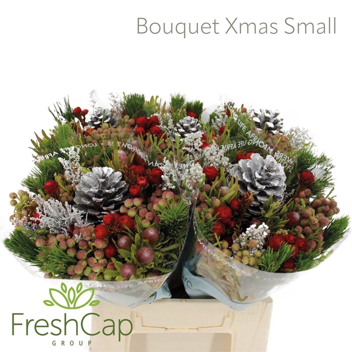 <h4>Bouquet Xmas Small</h4>