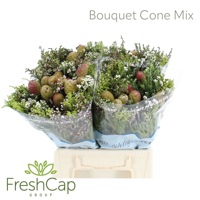 Bouquet Cone Mix
